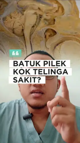 Hati-hati otitis media yang tidak diobati dengan baik dapat merusak gendang telinga, dan menurunkan fungsi pendengaran.  Periksa ke Dokter jika mengeluh telinga sakit saat sedang batuk pilek!  #edukasikesehatan #edukasi #fyp #health #otitismedia #infeksi 