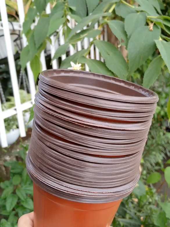 #flowerpot  #pasoforgardening  #pasonghalaman  #disposableplasticpot #paso  #potpots  #planterpot  #seedlingpot 