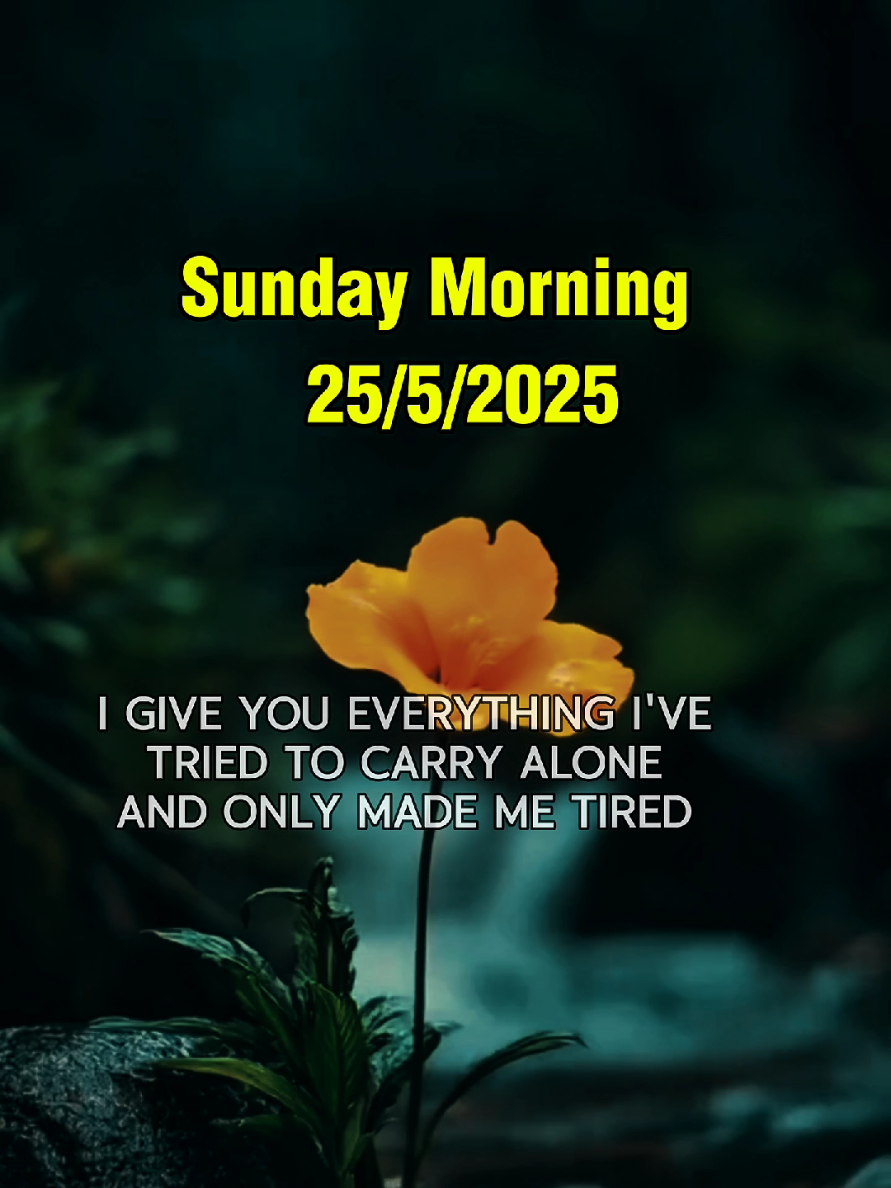 A prayer to start your Sunday with peace, faith, and purpose. Let God guide your heart today. #SundayPrayer #FaithInGod #PeacefulMorning #DailyInspiration #GodisGood #SpiritualGrowth #JesusIsWithYou