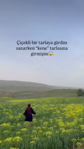 #kesfetteyiz 