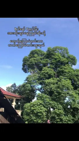ဟွန့် ဘယ်လိုလူတွေလဲ#fyp #foryou #foryoupage #fyppppppppppppppppppppppp #view 