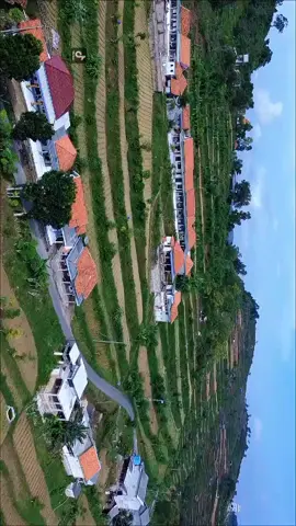 Kumbang Desa Sokobanah Laok #viraltiktok #fyp #fyppppppppppppppppppppppp #viralvideo 