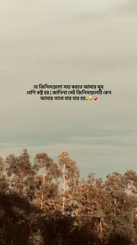 #caption #1m #viral #foryou #pyfツ #bangladesh🇧🇩 #bdtiktokofficial 