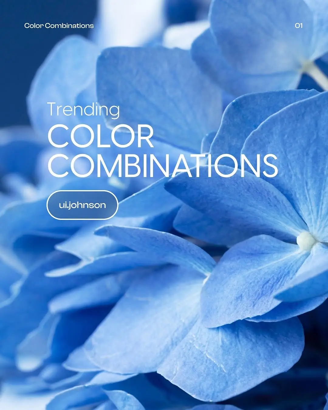 Credits: ui.johnson . . . #webdesign #webdesigntips #startingabusiness #ousinesstok #smallbusinesscheck #uidesign #freelancer #designtok #designer #ui #ux #uiux #trending #coding #tech #techtoktips #fypppppppppppppppppppp #font #color #design #uidesign #colorpalettes #figma #figmadesign #figmatutorial #fyp #design #tecktok #creatorsearchinsights 