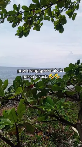 delatipo ngota-ngota dulu😭🤣🤣#gorontalofyp #fyp #masukberandafyp #gorontalo 