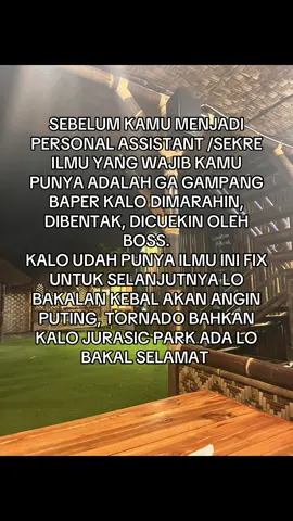 begitulah kira-kira yang gw alami sekarang #fyp #personalassistant #sekretaris #corporatelife 