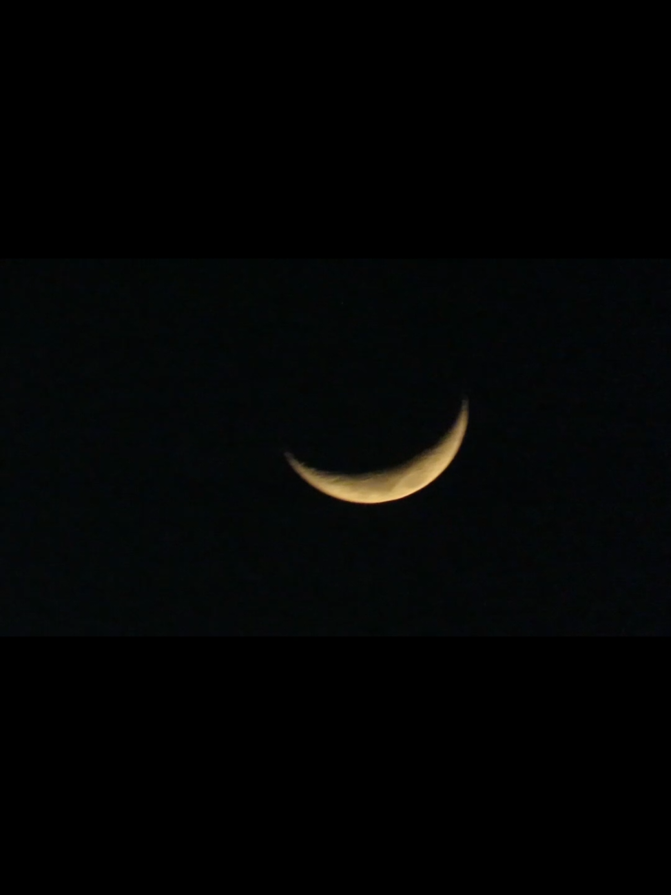 🫶🌙💫