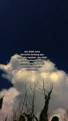 Karena jika aku bercerita,aku akan menangis. #fyp #quotes #storysad #sadvibes #katakata #galaubrutal #anakperempuan #nangis #galauvibes #songindia #viraltiktok #xybca #foryou #4u #fypage #fypシ゚ #fyppppppppppppppppppppppp 