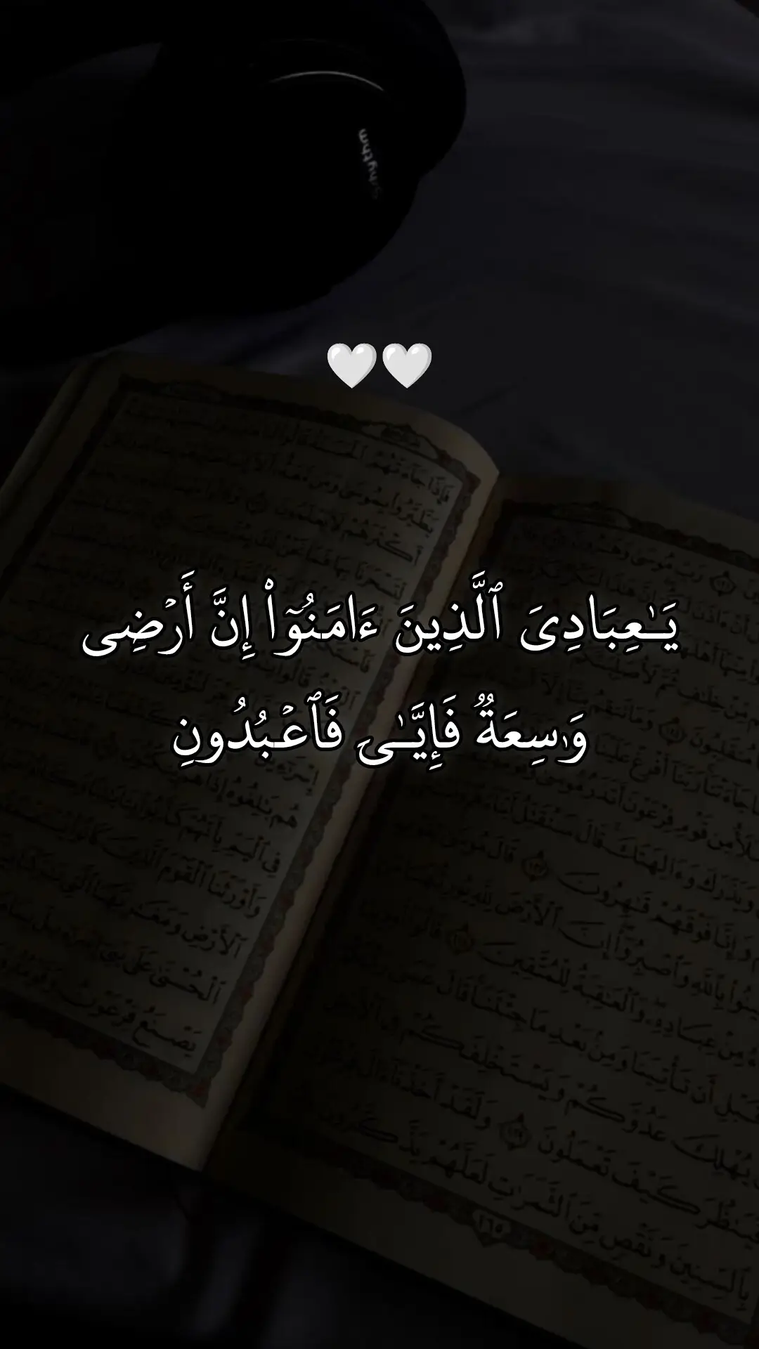 سورة العنكبوت 🤍 #اجر_لي_ولكم #قرآن_کریم #صدقه_جاريه #عبدالرحمن_مسعد 