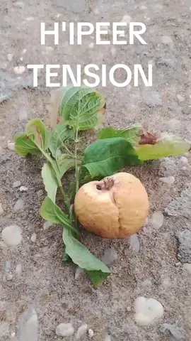 ÇA TRAITE HYPER TENSSION TRÈS EFFICACE NATUREL AFRICAIN JE CROIS #viralvideos #personaltrainer #percersurtiktok #viral #