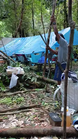 ###fyphutan Kalimantan proses pembuatan Pondok, mencari kayu Gaharu,Part 1...#fyppppppppppppppppppppppp 