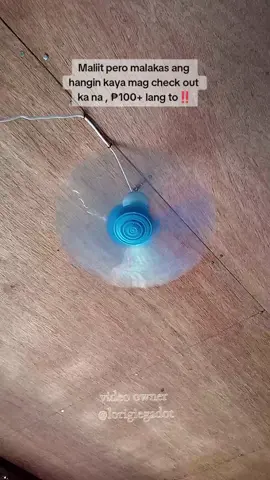 #ceilingfan #tiktokfinds 