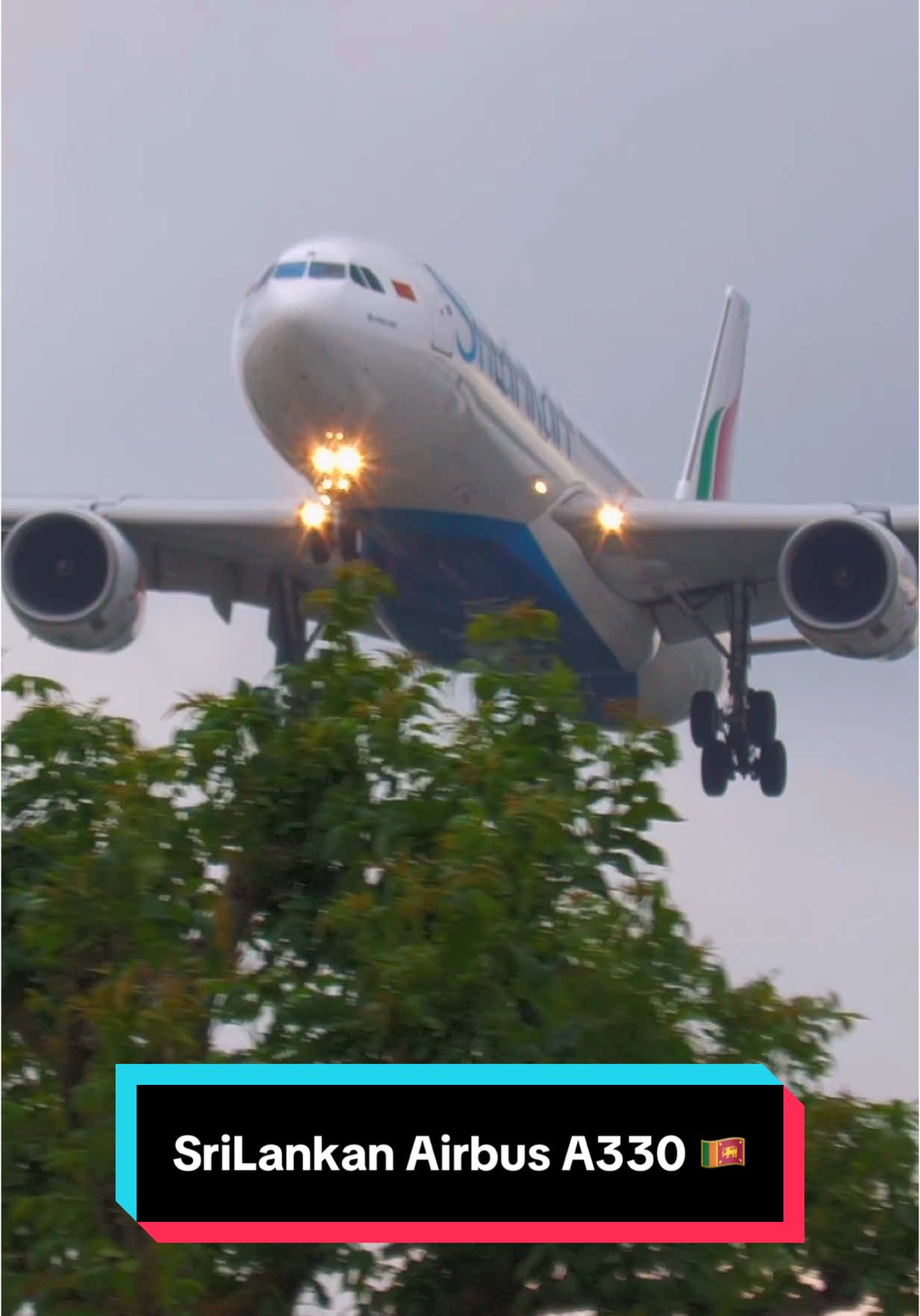 SriLankan Airbus A330 ✈️🇱🇰 #srilankan #airbus #airbusa330 #aviation #airplane #planespotting #landing 