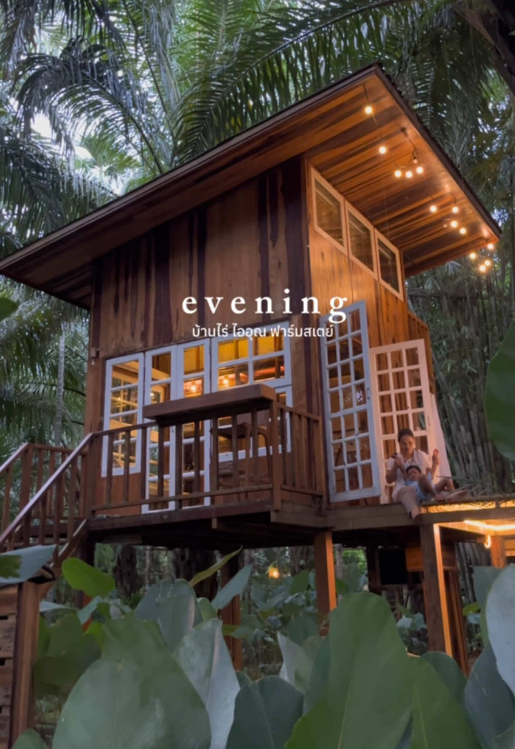 … นั่งเล่นชิลชิล ยามเย็น ที่บ้านริมธาร 01  กันค่ะ 🏡💚🧡 #บ้านไร่ไออรุณ #baanraiiarun #farmstay #บรรยากาศชิวๆ #goodvibes #tiktokกินเที่ยว #sunset #evening #chillchill #weekend #ผ่อนคลาย #ธรรมชาติบําบัด #Treehouse #resort #ที่พัก #ที่พักระนอง #ระนอง #thailand #thailandtiktok 