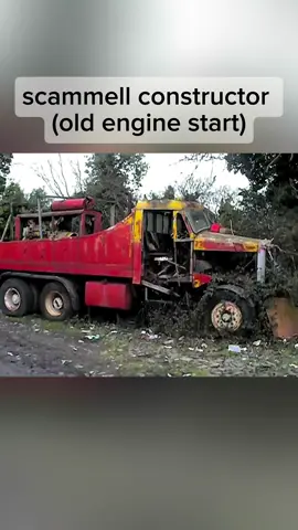 #usa_tiktok #kenworth #freightliner #peterbilt #mack #international #usa