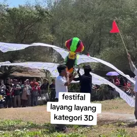 festival layang layang purworjo 2024 kategori 3D