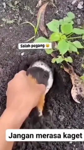 kaget#storylucu#fyp#tiktok @vinz.osaka.317 