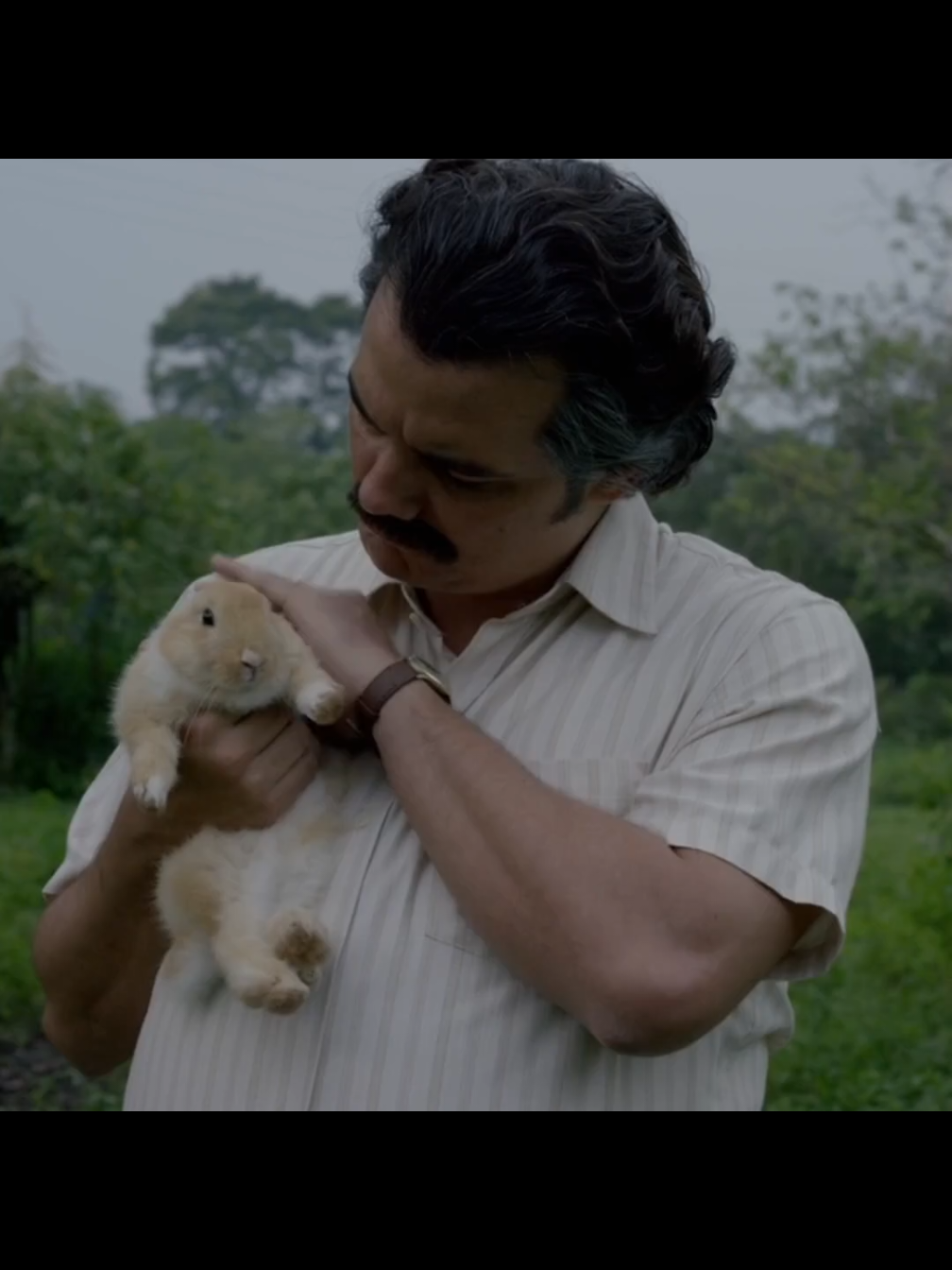 #narcosseries #netflixseries #fyp #colombia 