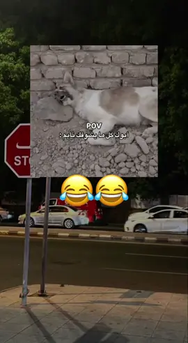 #شعب_الصيني_ماله_حل😂😂 #بغداد_بصرة_موصل_الكويت_الخليج_دبي_ #بصره_بغداد_ميسان_ذي_قار_كل_المحافظات #مصر_العراق_السعودية_تونس_المغرب_الجزائر 