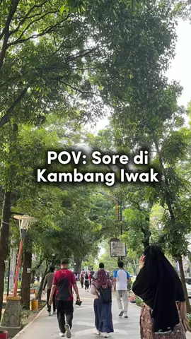 Siapa nih yg selalu jogging/jalan santai di kambang iwak? Sini absen dulu🥰🫶🏻 #kambangiwak #kambangiwakpalembang #kambangiwakbesak #kambangiwakpark #kambangiwakparkpalembang🏃🏃 