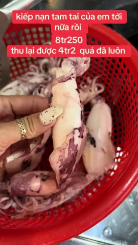 kiếp nạn tới nữa rồi @Ốc Ché Rỳ 