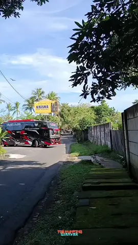 black Dragon asal jember jawa timur #busindonesia #jetbus5 #adiputro #adiputrokaroseri #inds88trans #inds88transkerenn #timhuntinggianyar  @inds88trans 