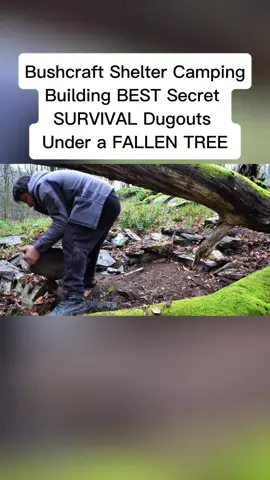 Bushcraft Shelter Camping; Building BEST Secret SURVIVAL Dugouts Under a FALLEN TREE#camping #campinglife 
