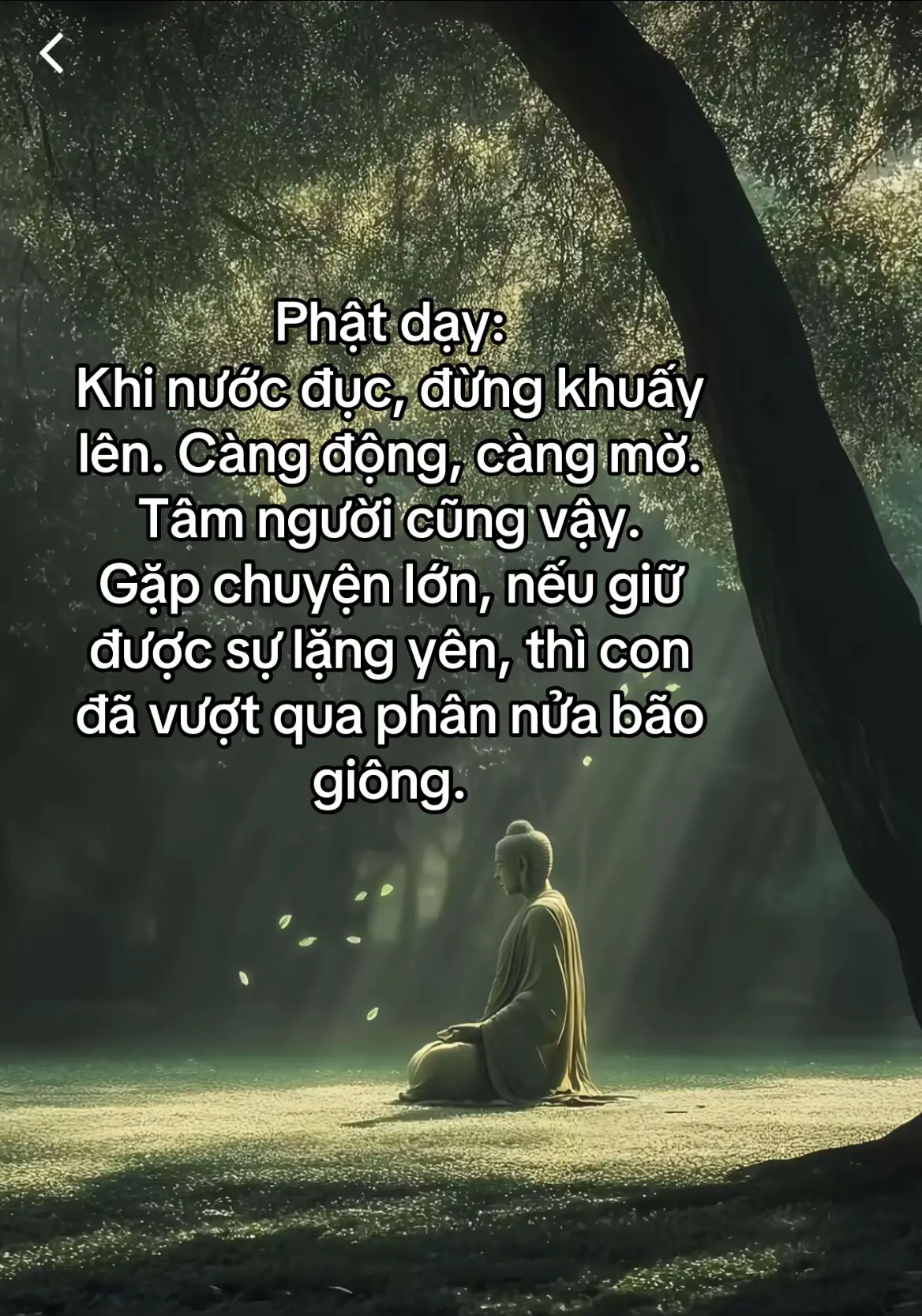#phatphap #phatphapnhiemmau #tinhthuc 