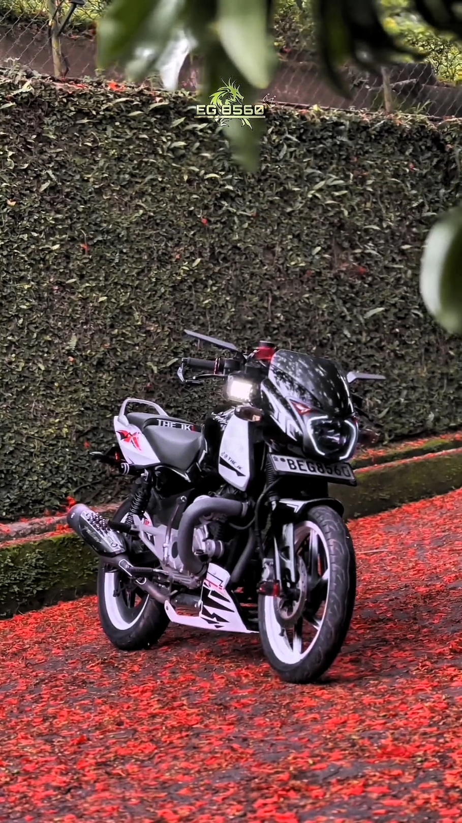 Ep | 05 සුඩු බෝලෙ 😭🖤💭   . . .    #foryou #foryoupage #eg8560 #නුවර_අපි #bikers #pulsar #pulsar150lover #trending   @𝑩𝑶𝑳𝑻 ⚡️💜 @𝐁𝐢𝐧𝐮𝐰𝐚 🪽 @Lakmal ( HIKKA) @❌_VIDU_⭕⭕ @🇵 🇺 🇳 🇨 🇭 🇦 @𝙏𝙂 🪽 
