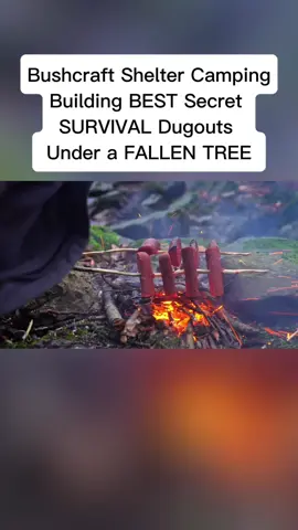 Bushcraft Shelter Camping; Building BEST Secret SURVIVAL Dugouts Under a FALLEN TREE#camping #campinglife 
