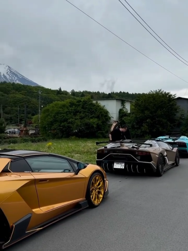 Lamborghini Aventador Roaring on the Road🔥 . . #CarTok #RareCars #BillionaireLifestyle #LuxuryCars #lamborghini #Aventador #japan 