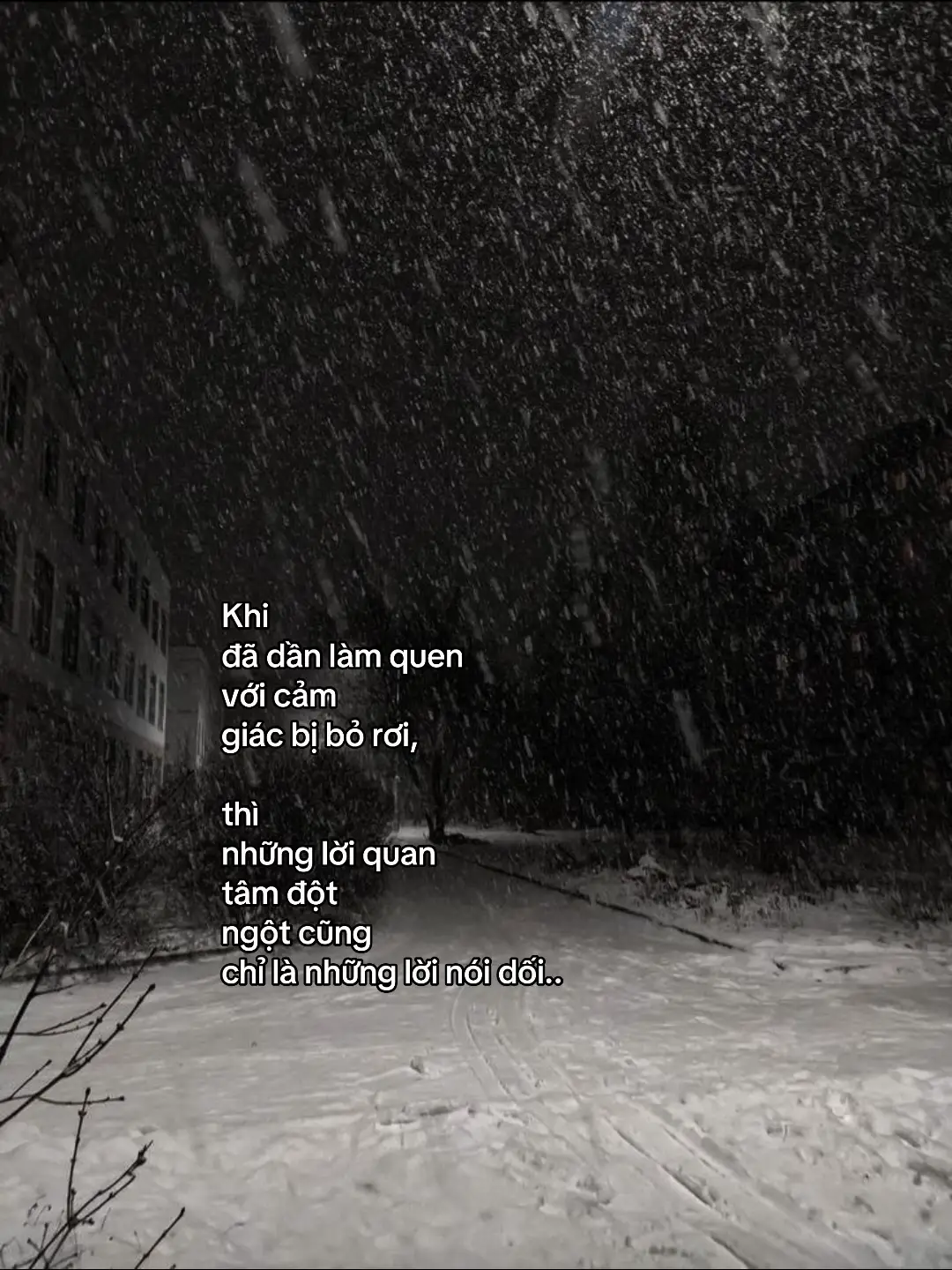 #tamtrang #captions #hl17th6 #xuhuongtiktok #story #viralvideo 