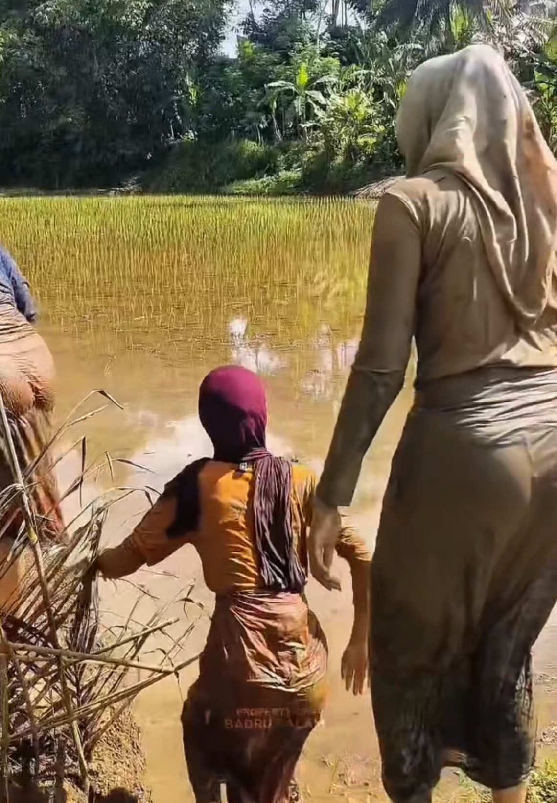 Gadis desa mau mandi #fyp #foryou #foryoupage ###foryou #beautiful #pedesaan #viral #views #500k #tiktokuk 