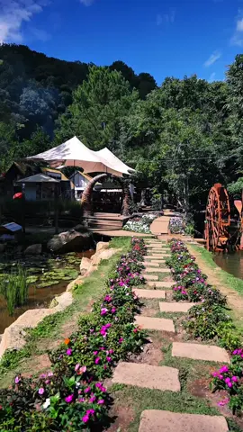 Bao lâu rồi bạn chưa đi Đà Lạt ? #Vuondiadang #Dalat