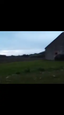 #LoboEstepario #viral #parati #viralvideo #perros #gatitos #playas #ríos #fyp #monito #paratiiiiiiiiiiiiiiiiiiiiiiiiiiiiii 