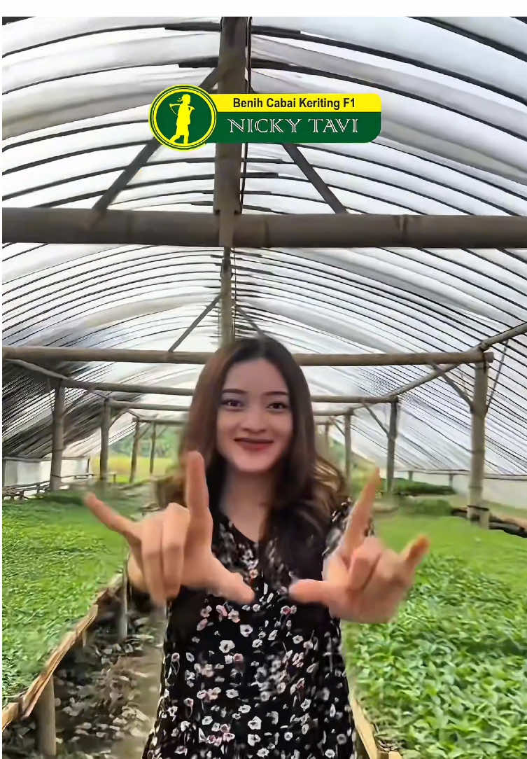 Untuk Bolo - Bolo Daerah Magelang tepatnya di sekitaran Blabak , Boleh langsung ke @joyotani77  , ready Benih dan Bibit Serdadu seed ☺️☺️ #petaniindonesia🇮🇩🇮🇩🇮🇩🌿🌿 #serdaduseed #petanimuda #benih #fyppppppppppppppppppppppp #nickytavi #cabai 