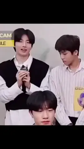 🤣🥲 #junkyu #jeongwoo #treasure #kimjunkyu #parkjeongwoo