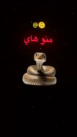 #الحيايه😂😂🐍 #🤣🤣🤣🤣