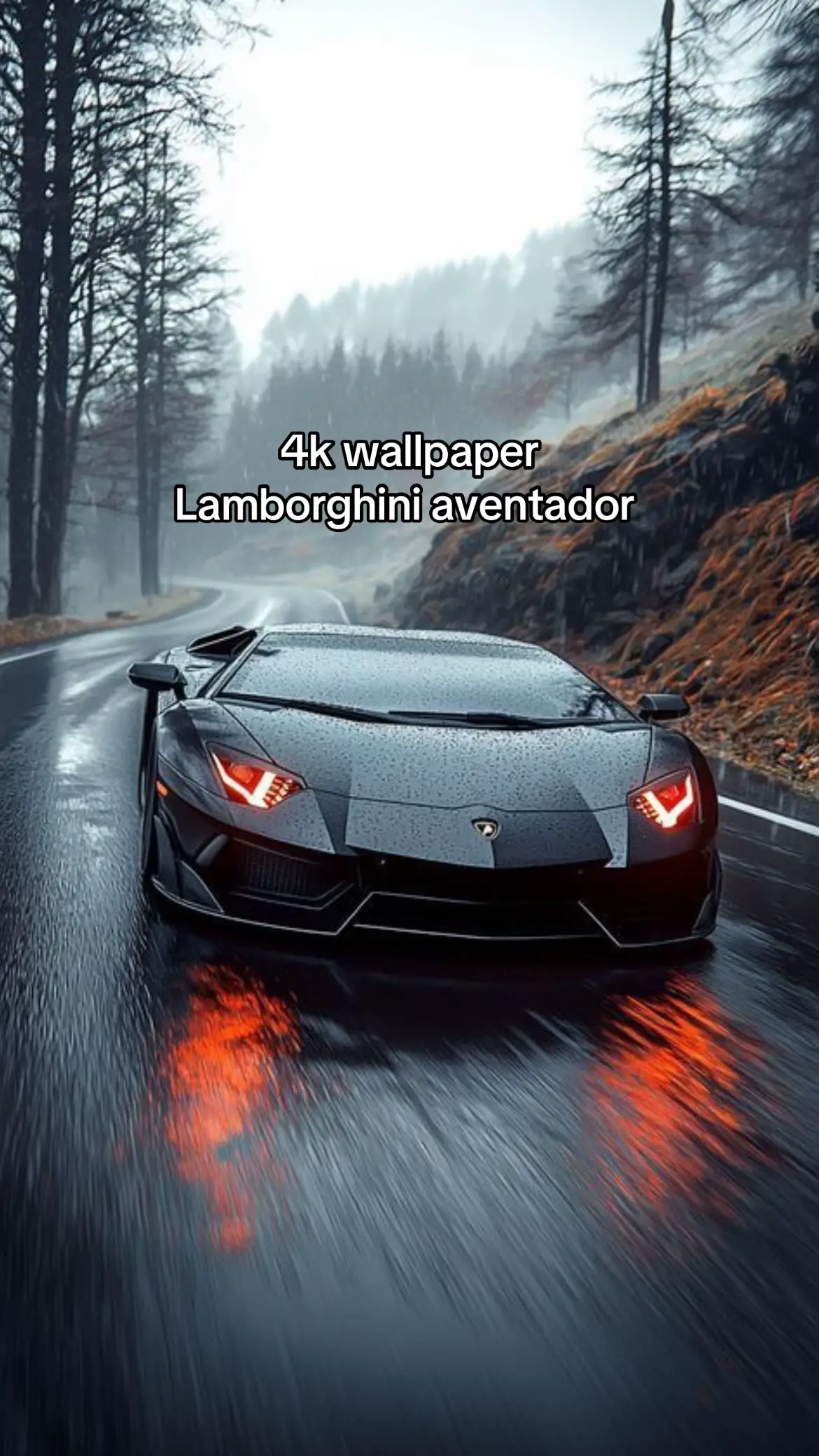 #lamborghini #aventador #4k #wallpaper #quality #4kwallpaper #lockscreen #cartok #carsontiktok #beauty #clean #aestheticvideos #homescreen #fyp 