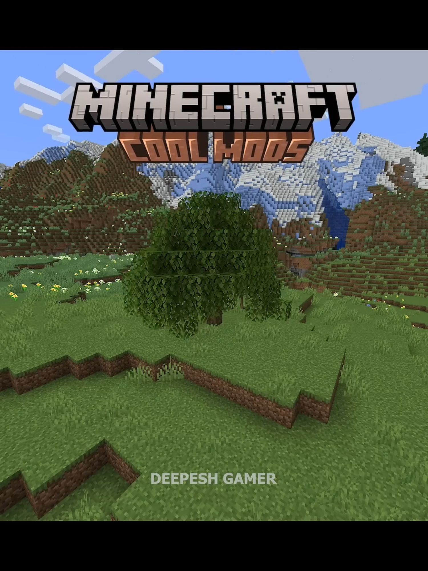 Minecfaft cool mods ☠️ #Minecraft #modsminecraft #mod #deepeshgame #BockeyGamer