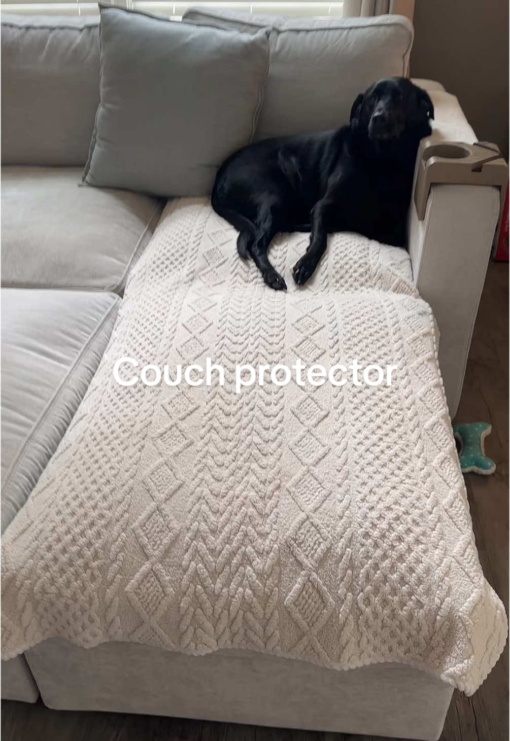 Easiest way to protect your couch from pet hair! #couchcover #couchprotector #sofacover #pethair #tiktokshopmemorialday 
