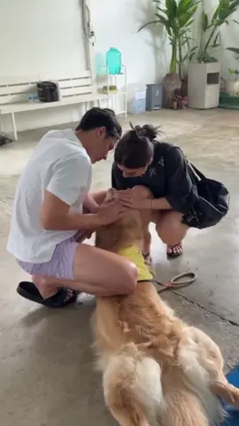 Cute hah 🥹🥰❤️ #welovemk #tiktokthailand #tiktok #banmarkimpantip #mark_prin #markprin #หมากปริญ #kimmy #kimmy_kimberley #คิมเบอร์ลี่ #kimberley #markim #หมากคิม #fypシ #fypシ゚viral #fyp #fyppppppppppppppppppp #foryoupage #fypシ゚viral🖤tiktok #fypシ゚ 