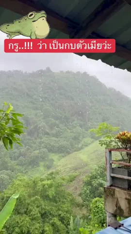 เสียงกบ ย่างข้าวเดือนหกฝนก็ตกปรอยปรอย กบ มันก็ร้อง อ่อยยย..ออยยย#ดันขึ้นฟีดที #เฮียหนวด #ผู้ชายมีหนวด 