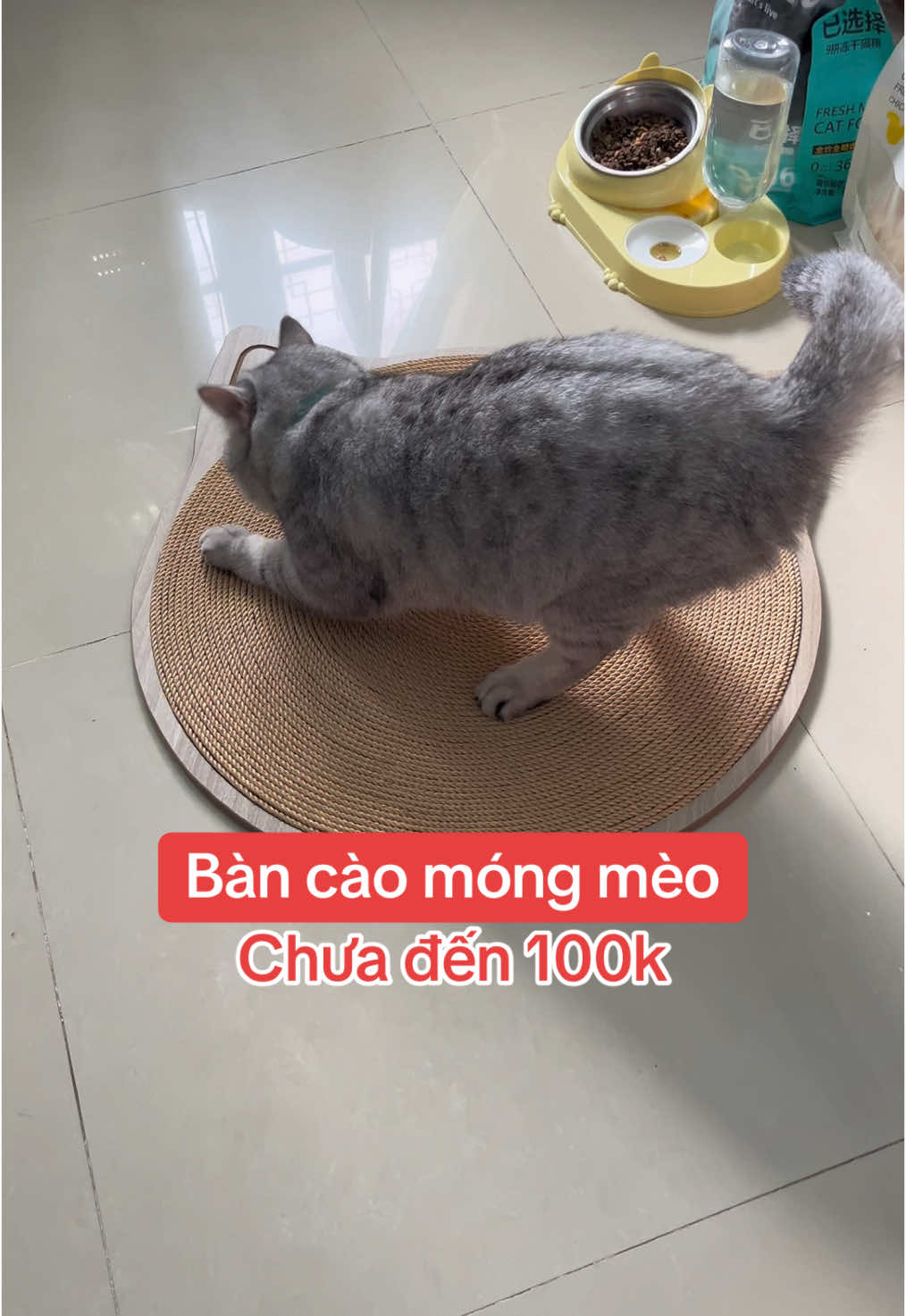 Chưa đến 100k một bàn cào khổng lồ#Mrs.Sen#xuhuongtiktok #PremiumClubVN #bancaomong 