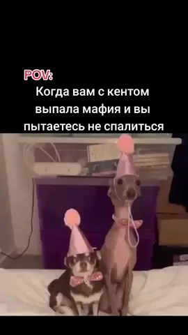 лучшие игроки