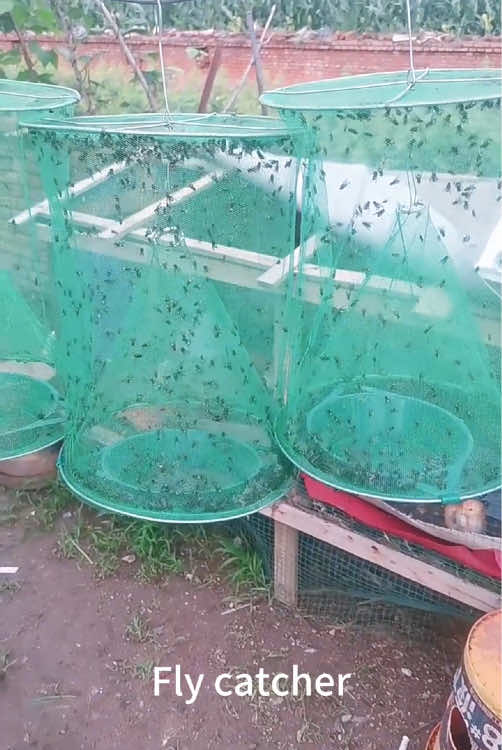 8 Packs Ranch Fly Trap - Fly Traps Outdoor Hanging 2025 Upgraded Fly Catcher\,Stable Fly Trap Fly Bag Reusable Fly Traps Pest Fly Control for Family Farm Park Orchard Garden Scent
