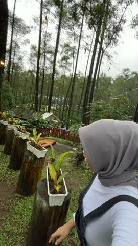 nemu harta karun