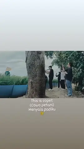musim kapungkur, ker masih knh janten selebritis iyemah😅 #padi #fypシ゚viral🖤tiktok #karawang #petaniindonesia🇮🇩🇮🇩🇮🇩🌿🌿 #petanimuda #trending #petanimilenial #fyp #CapCut #fypindonesia #hits 