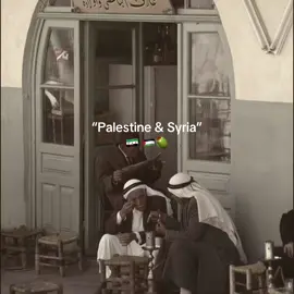 Best mix fr proud Middle Eastern #درعاوية #asian #freepalestine #اكسبلور #viral_video #relatable #palestine #syrian #palestinian #muslimah #سوريا #درعا #ArabTikTok #CapCut 