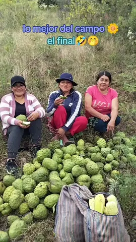 #chirimoyas #sabrosas #cajamarcaperú 